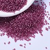 MIYUKI Delica Beads SEED-X0054-DB1341-1