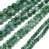 Natural Malaysia Jade Beads Strands G-L645-C01-10mm-03-2