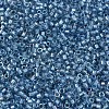 MIYUKI Delica Beads SEED-JP0008-DB1762-3