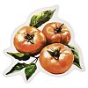 10Pcs Fruit PET Self-Adhesive Stickers DIY-K074-08F-3