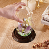 Glass Dome Cover ODIS-WH0079-021A-3