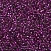 TOHO 8/0 Round Beads SEED-TR08-2223-2