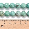 Natural Peruvian Turquoise(Jasper) Beads Strands G-L642-B08-10mm-5