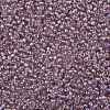 TOHO 11/0 Round Beads SEED-JPTR11-0166-2