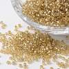 12/0 Silver Lined Round Glass Seed Beads SEED-K003-2mm-M07-03-1