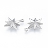 Non-Tarnish 304 Stainless Steel Pendants X-STAS-N097-256P-3