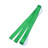 Grosgrain Ribbons LS-SRIB-L055-16mm-D580-2
