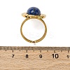 Oval Natural Lapis Lazuli Finger Rings RJEW-M063-01G-17-5