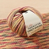Wool Rainbow Segment Dyed Yarn PW-WG3CD8F-17-1