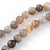 Natural Bamboo Leaf Agate Round Bead Strands G-M248-8mm-04-1
