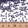 12/0 Glass Seed Beads SEED-S005-32-4