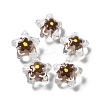 Transparent Glass Beads LAMP-H065-02C-1