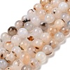 Natural Dendritic Agate Beads Strands G-A248-A07-05-2