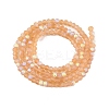Transparent Glass Beads Strands EGLA-A044-T1mm-MB23-3