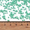 Baking Paint Glass Seed Beads SEED-S042-05B-60-4