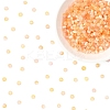 50G Imitation Cat Eye Glass Seed Beads SEED-YW0003-15H-1