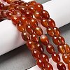 Natural Agate Beads Strands G-B079-E01-01A-1