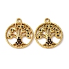 304 Stainless Steel Rhinestone Pendants STAS-L299-07G-1