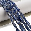 Natural Blue Spot Jasper Beads Strands G-K343-C18-01-2