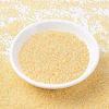 MIYUKI Round Rocailles Beads SEED-G007-RR0516-2