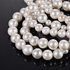 Shell Pearl Stretch Bracelets Sets BJEW-JB04108-3