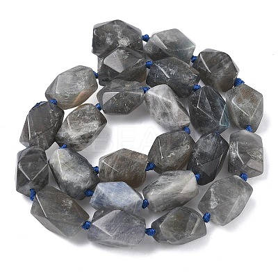 Natural Labradorite Beads Strands G-C270-F01-1