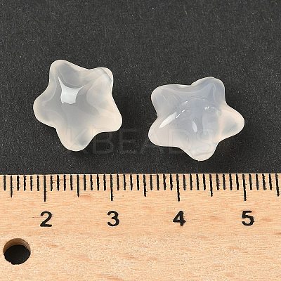 Natural White Chalcedony Beads G-P577-02-1