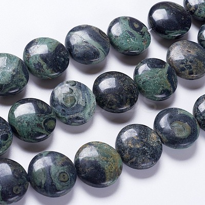 Natural Kambaba Jasper Beads Strands G-K267-03A-1