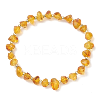 Natural Amber Beads Stretch Bracelets for Women BJEW-JB13294-1