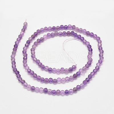 Natural Amethyst Bead Strands G-P279-43-3mm-1