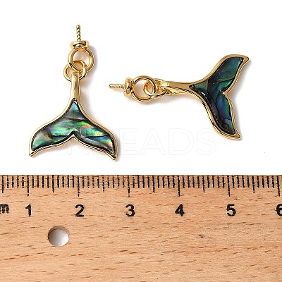 Natural Paua Shell Whale Tail Pendants KK-G538-37G-1