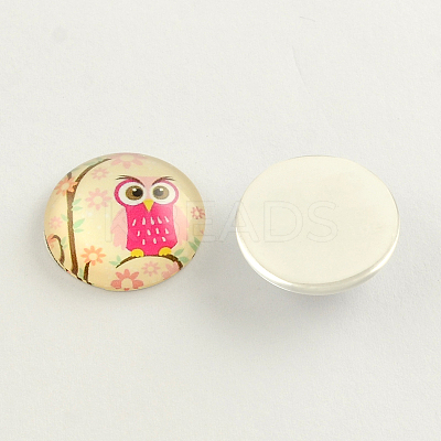 Cartoon Owl Pattern Flatback Half Round/Dome Glass Cabochons GGLA-R026-10mm-06-1