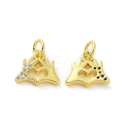 Brass Micro Pave Clear Cubic Zirconia Charms KK-E068-VF074-1