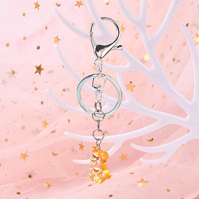 Iron Alloy Lobster Claw Clasp Keychain LS-KEYC-D016-S-1