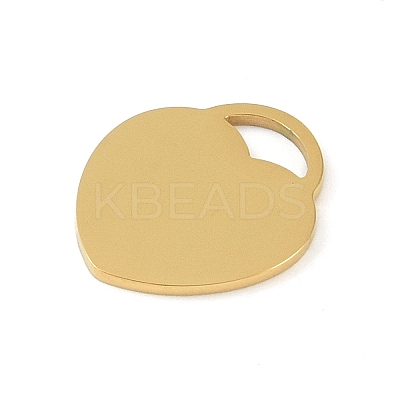 Ion Plating(IP) 304 Stainless Steel Pendants STAS-N090-T857G-01-1