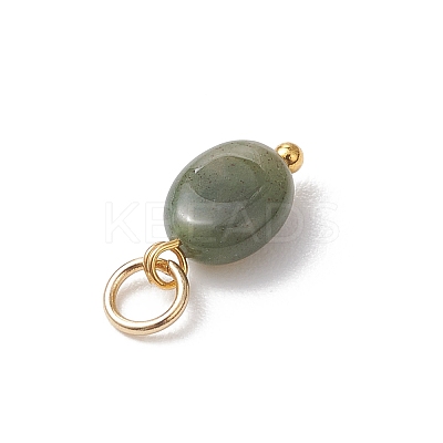 Natural Indian Agate Oval Charms PALLOY-JF04942-1