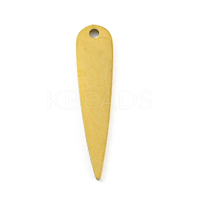 304 Stainless Steel Pendants STAS-R228-04G-1