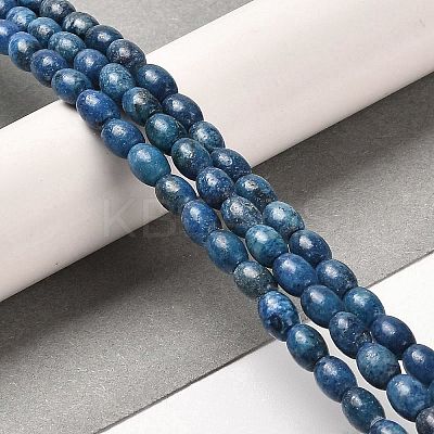 Natural Dolomite Beads Strands G-F765-A03-01-1
