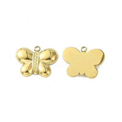 304 Stainless Steel Pendants STAS-L269-030G-1