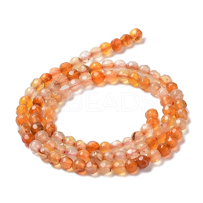 Natural Agate Beads Strands G-Q1000-02F-1