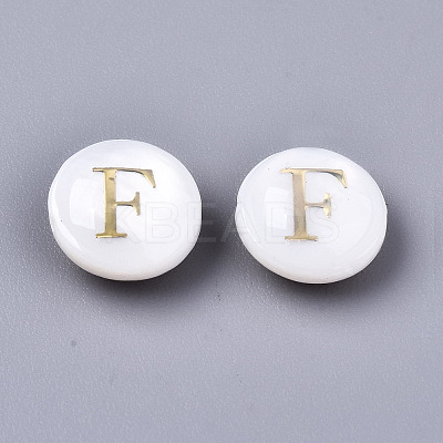 Natural Freshwater Shell Beads SHEL-S266-12F-1