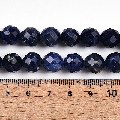 Natural Sodalite Beads Strands G-S345-10mm-26-1