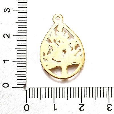 304 Stainless Steel Pendants STAS-M116-31G-1