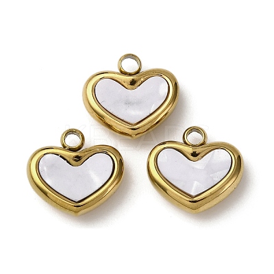 304 Stainless Steel Resin Pendants STAS-P406-15A-G-1