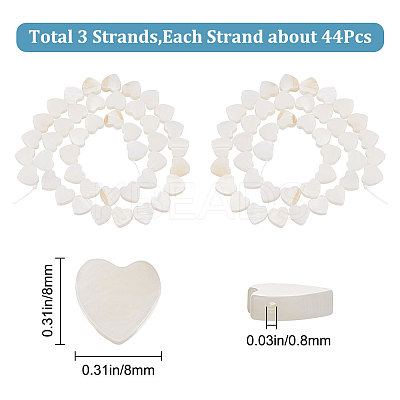 3 Strands Natural Freshwater Shell Beads Strands SHEL-CN0001-01-1