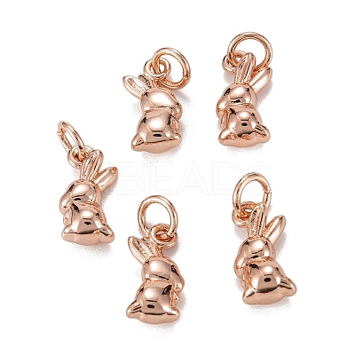 Brass Charms KK-C223-14RG-1