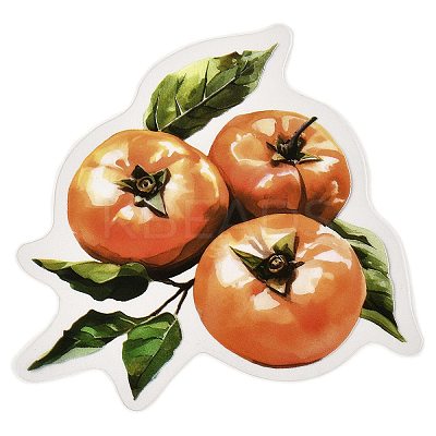 10Pcs Fruit PET Self-Adhesive Stickers DIY-K074-08F-1