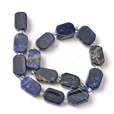 Natural Sodalite Beads Strands G-C098-A08-01-1