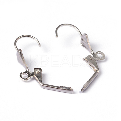 Brass Leverback Earring Findings EC561-NF-1