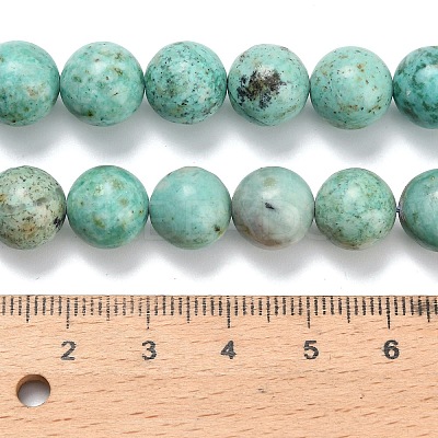Natural Peruvian Turquoise(Jasper) Beads Strands G-L642-B08-10mm-1